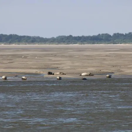 Apartment Au Parisien